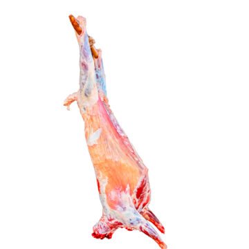 Mutton Carcass